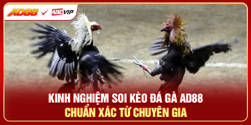 Kinh nghiệm soi kèo đá gà AD88 chuẩn xác từ chuyên gia